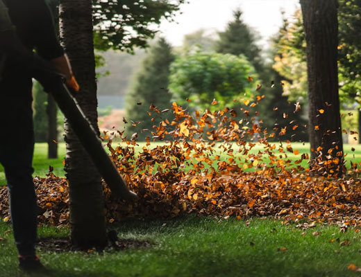 Landscape Maintenance Project