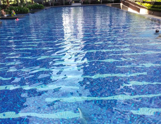 Swimming Pool Cleaning Project